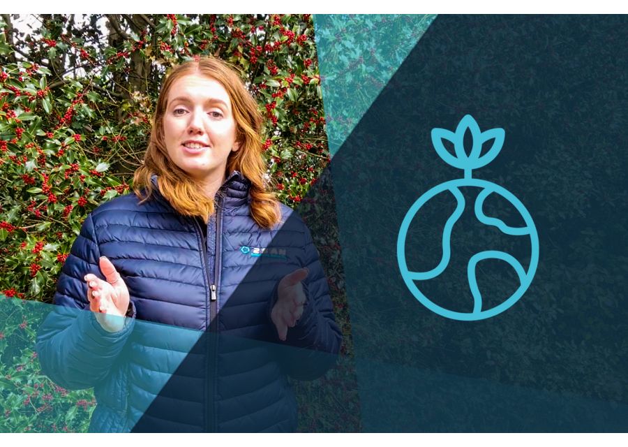 2San - Road Net Zero